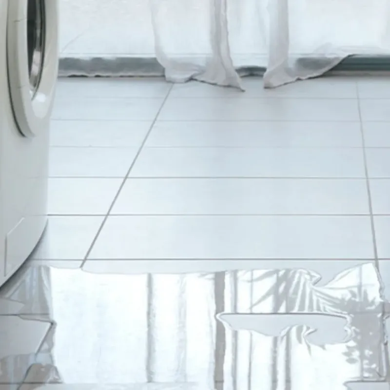 Appliance Leak Cleanup in Loganville, GA